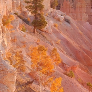 Bryce Canyon