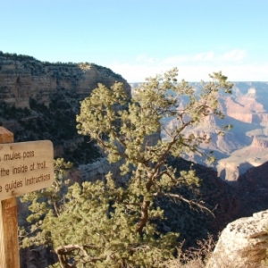 Grand Canyon - Bright Angel trail