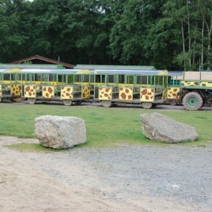 Petit train pour Safari