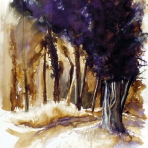 Lavis au brou de noix foret 50 x 70 cm