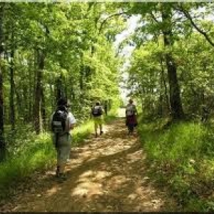 Le Chemin de Saint-Jacques de Compostelle s’oriente vers les nouvelles technologies !