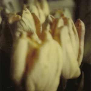 Cy Twombly Tulips, Rome Dryprint on cardboard 1985 43,1 x 27,9 cm © Schirmer/Mosel Verlag - Nicola Del Roscio Foundation