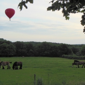 la montgolfiere survol des chevaux de trait