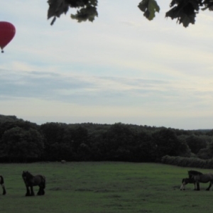 la montgolfiere survol des chevaux de trait