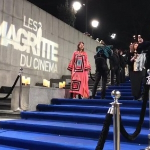 La descente des marches des "Magritte du Cinema", en 2018 (c) "RTBF"