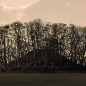 Tumulus d Hottomont (50 metres de diamètre & plus de 10 metres de hauteur) (c) "SPW-AWaP"