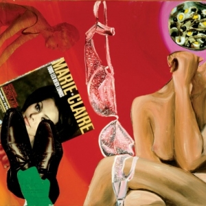 "Marie-Claire"/1964/l un des 17 premiers collages et huile sur toile/70 x 90 cm/Coll. Philippe Axell