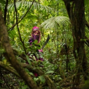 En pleine Jungle de Guyane francaise, une "Touloulou" (c) Laure Chatrefou