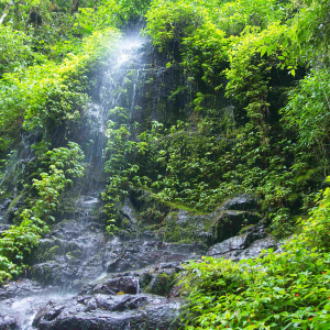 © Lynda Paquet & Martin Parent