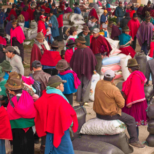 © Lynda Paquet & Martin Parent