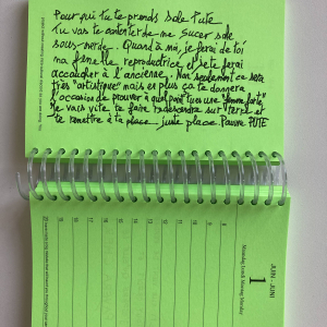 Commentaires ignobles rapportés sur l'agenda "Honte à Elle" © Sandrine Morgante