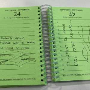 Commentaires ignobles rapportés sur l'agenda "Honte à Elle" © Sandrine Morgante