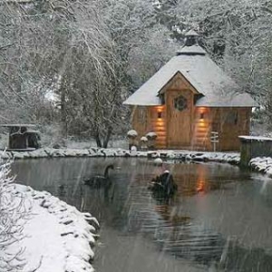 Un chalet de bois au fond du jardin