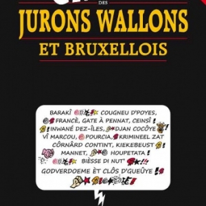 Le GROS DICO des JURONS WALLONS et BRUXELLOIS