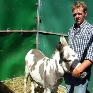 Fete du Cheval 2007-video 01