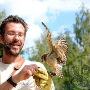 Rapace au Sunparks de Vielsalm-9915