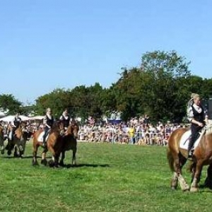 Fete du Cheval 2007-video 11