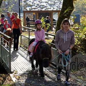 Martelange week-end du Bois - 851