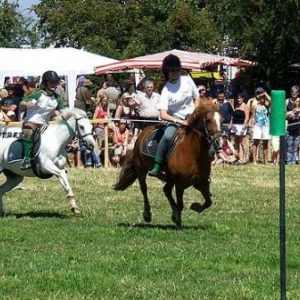 Fete du Cheval 2007-video 02