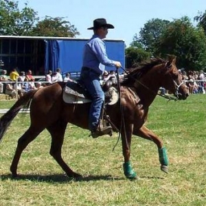 Tavigny : Fete du Cheval 2007-photo3780