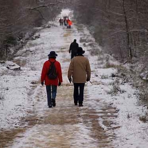 Scouts-Guides Pluralistes