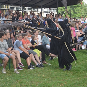 Fete des Myrtilles 2016 Vielsalm-Davin_2750