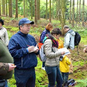 Champignon en Ardenne