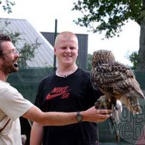 Rapace au Sunparks de Vielsalm-9945