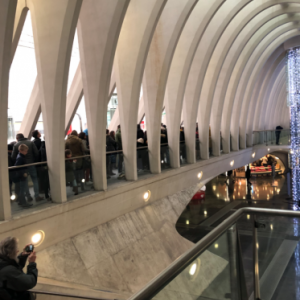 20.000 visiteurs ,exposition Toutankhamon. Liege-Guillemins