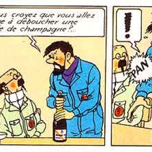 Champagne Brochet Hervieux