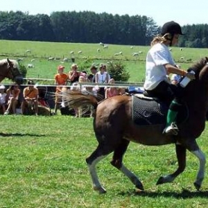 Tavigny : Fete du Cheval 2007-photo3723