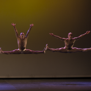 Les Hivernales de la Danse de LIEGE