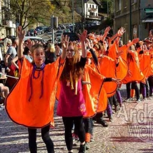 Carnaval de La Roche 2017