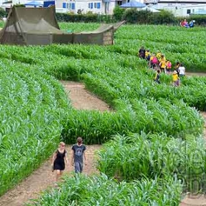 Labyrinthe de Barvaux-7578