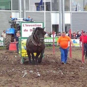 Foire de Libramont 2007-video 04