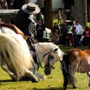 Vielsalm 21 juillet fete des myrtilles - 9913