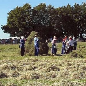 Fete du Cheval 2007-video 24