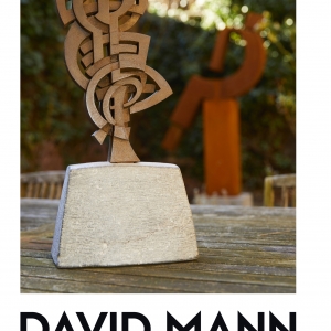 l'artiste et joaillier  liégeois David Mann.