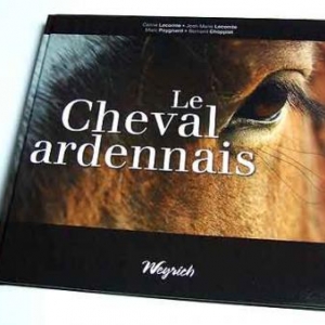 Le cheval ardennais