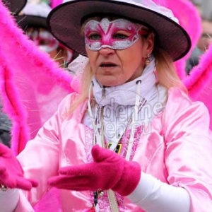 Carnaval de La Roche 2015 - 4192