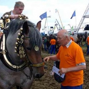 Foire de Libramont 2007-7300086