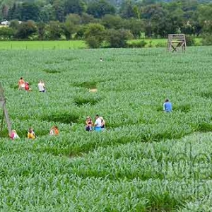 Labyrinthe de Barvaux-7580