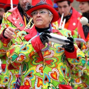 Carnaval de La Roche 2015 - 4315
