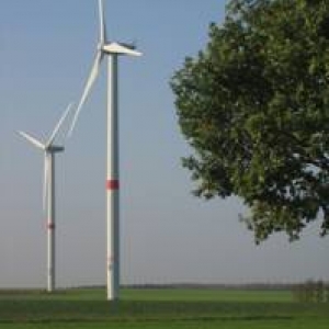 Le développement d’éoliennes en Région wallonne, Natagora dit oui mais pas à n’importe quel prix !