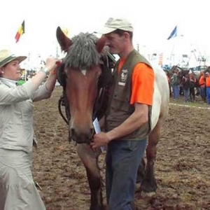 Foire de Libramont 2007-video 07-5