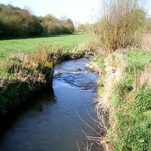Epuration des eaux usees en zone rurale.