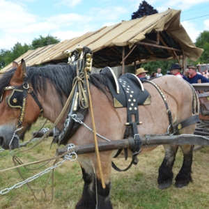  La fete des vieux metiers Vaux-Chavanne-4027