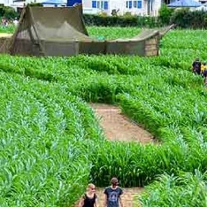 Peter Pan, dans le Labyrinthe de Durbuy