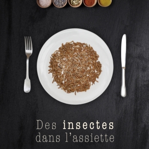 Des insectes dans l'assiette