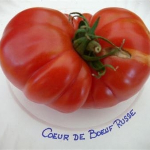 Fourons: fete de la tomate